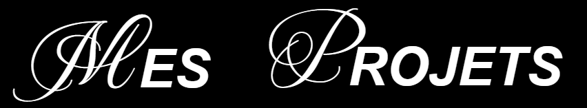 Capture d'écran 2025-03-16 002536