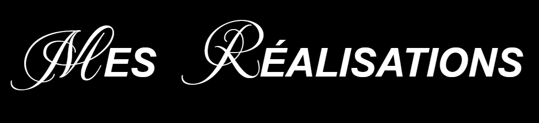 Capture d'écran 2025-03-16 003659